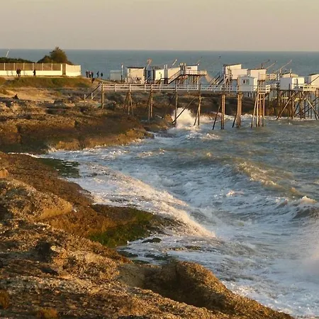 T1 Bis Cosy Avec Terrasse, Parking Et Calme Absolu Royan
